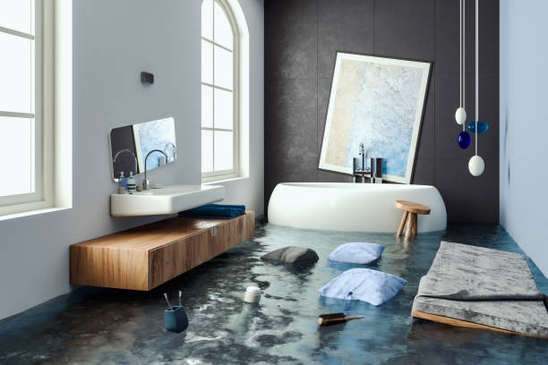 Best Mold removal after water damage  in Wingate, NC