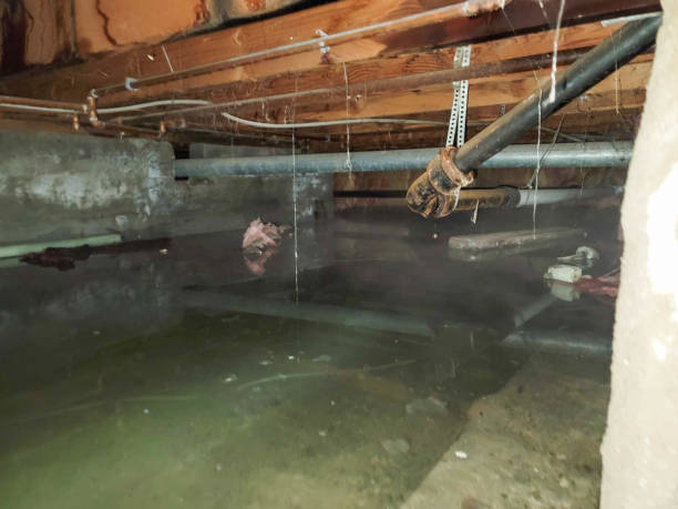 Best Commercial water damage restoration  in Wingate, NC