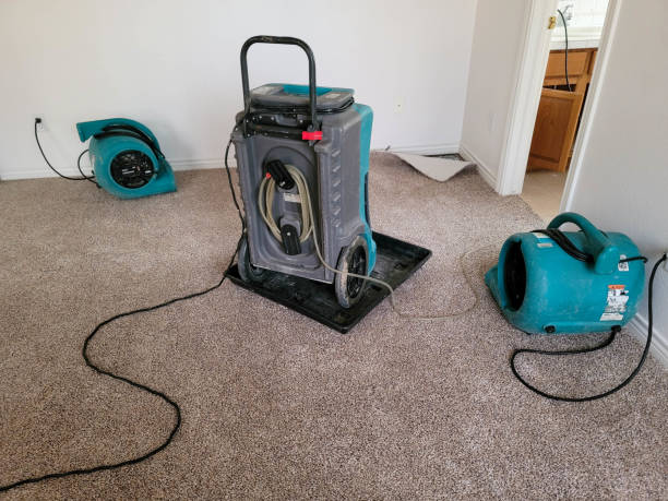 Best Flood restoration services  in Wingate, NC