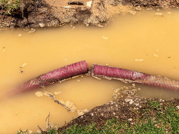 Best Basement water damage restoration  in Wingate, NC